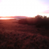2012-02-22_06.52.47